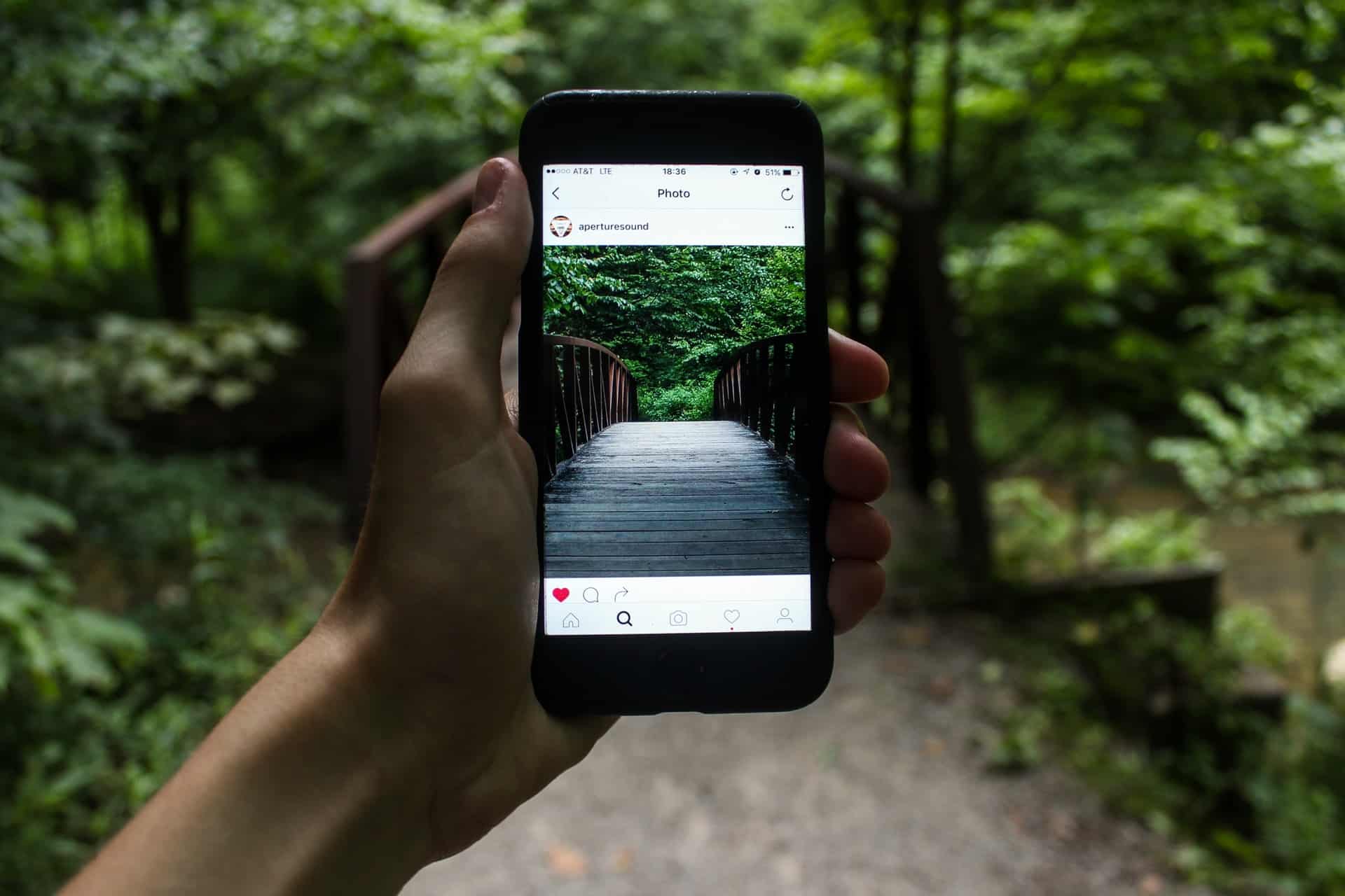 hand holding a cellphone in a forest with the instagram app open