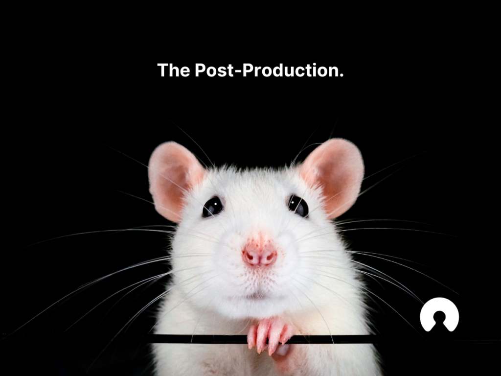 At-Home Pet Photoshoot Cheat Sheet: The Post-Product text with a white mouse on a black background